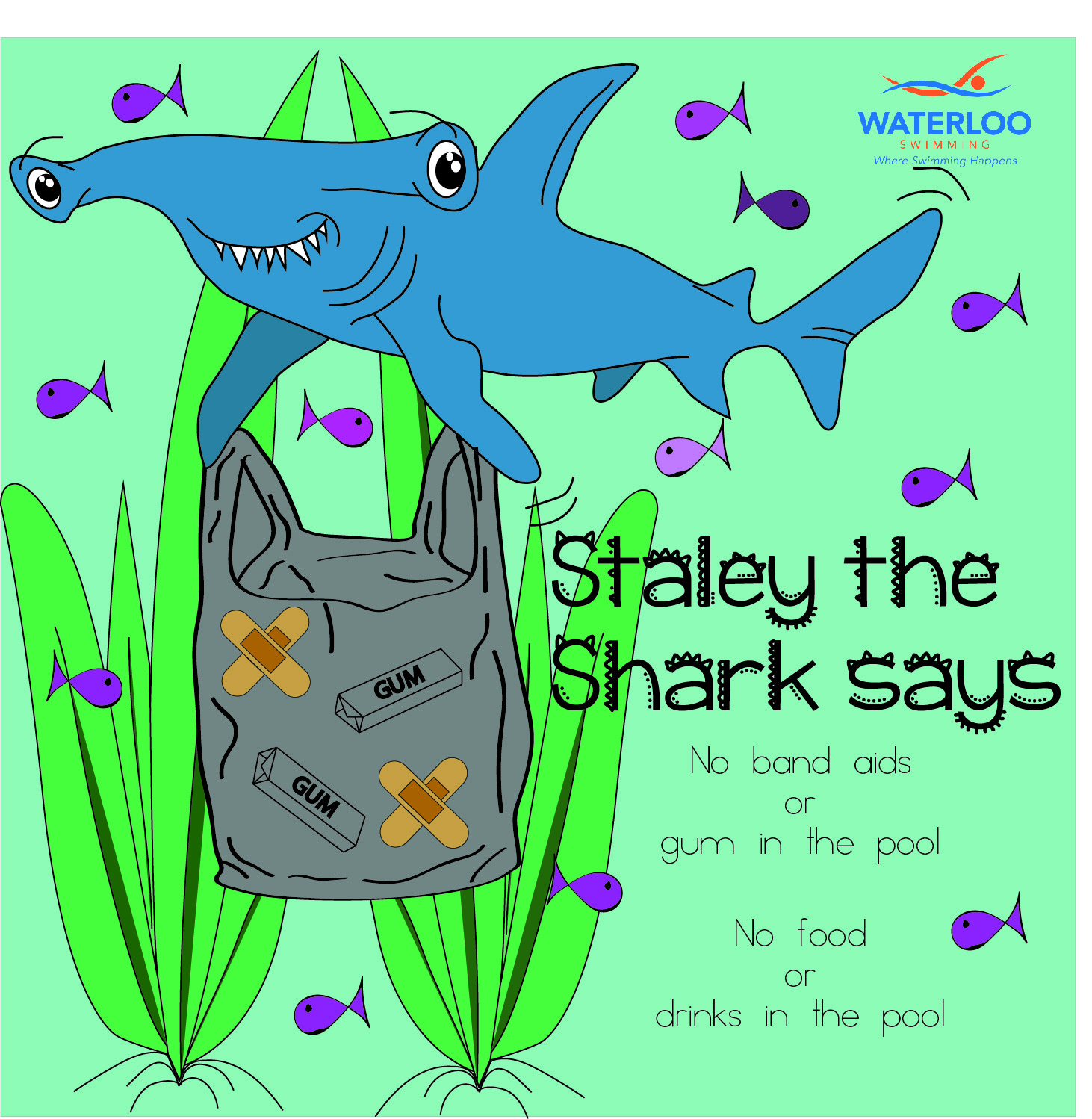 Staley the Shark